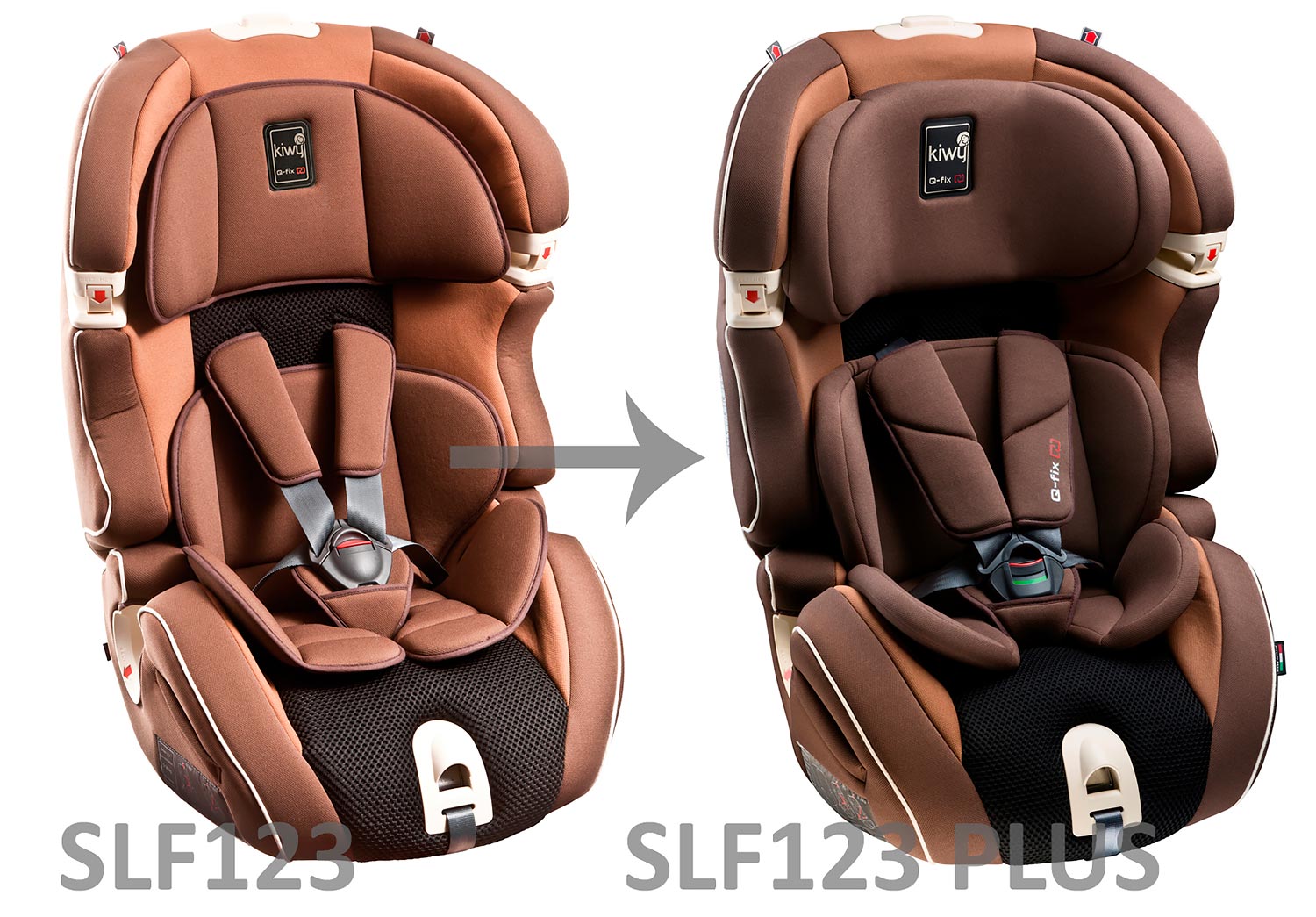 Kiwy SLF 123 vs SLF123 Plus