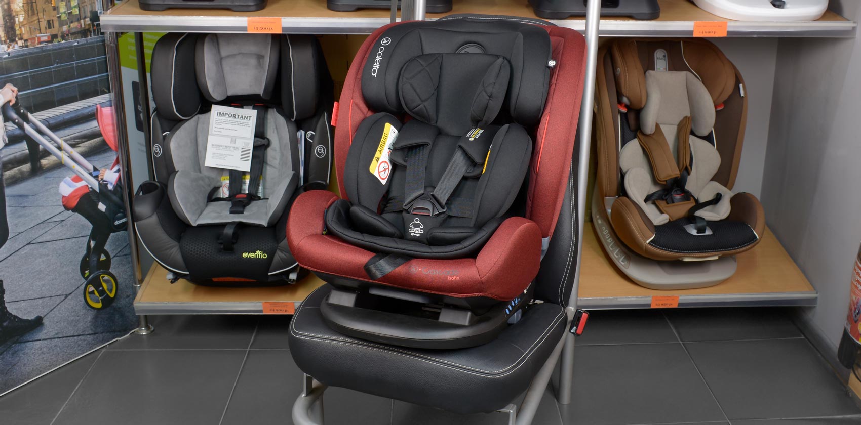 Coletto Cascade isofix общий вид