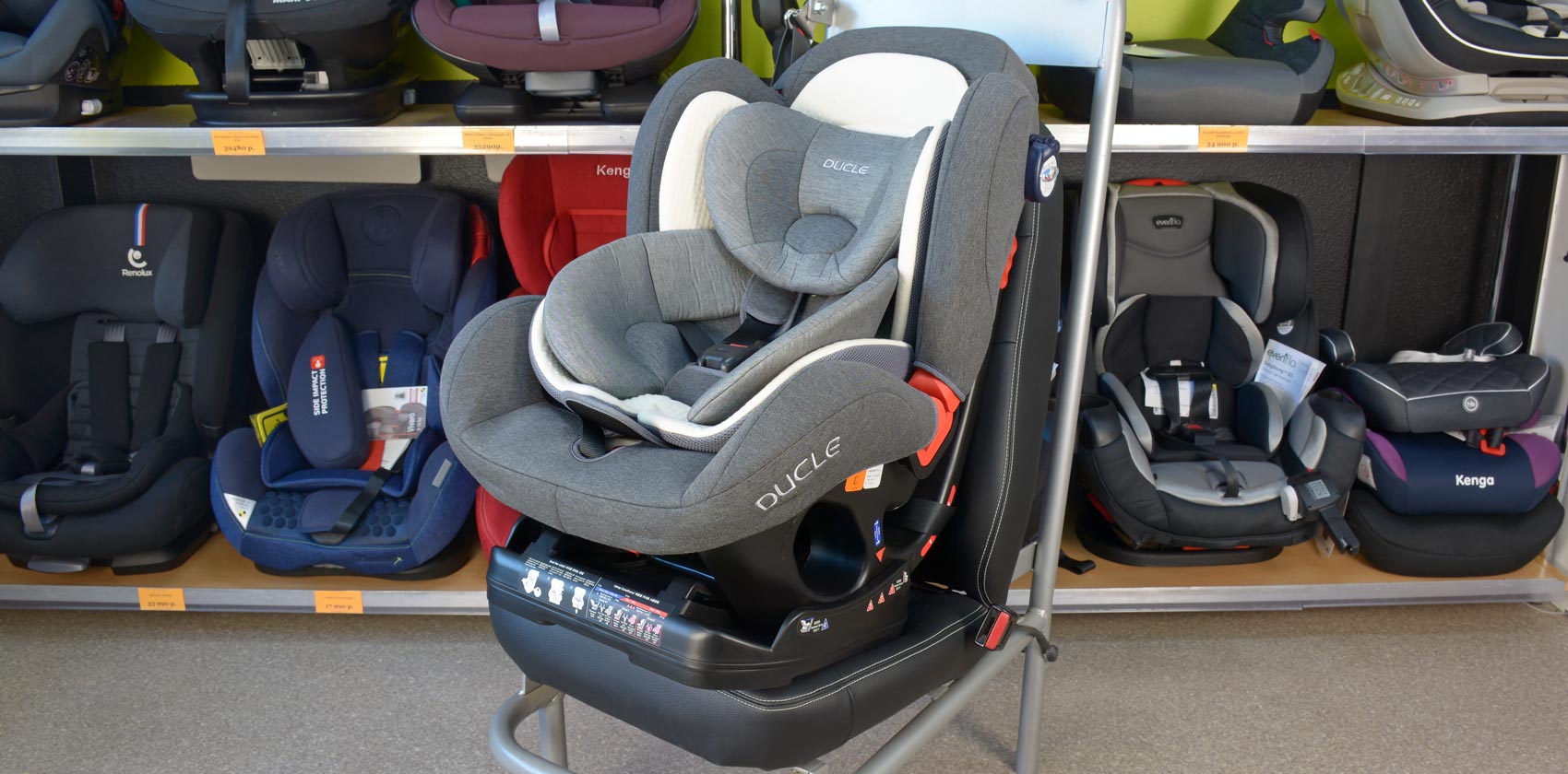 Ducle Daily isofix общий вид