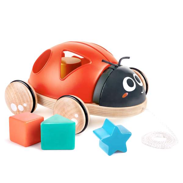 Каталка - сортер Hape 